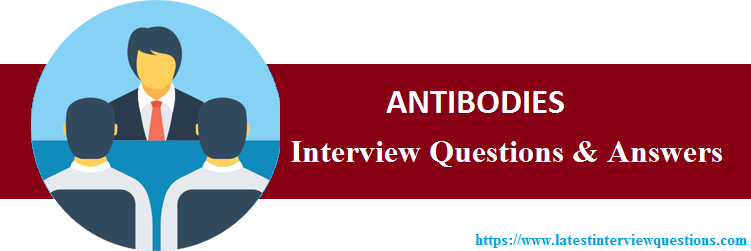 Interview Questions on ANTIBODIES