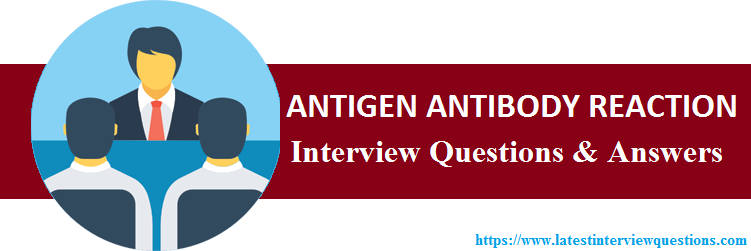Interview Questions on ANTIGEN ANTIBODY REACTION