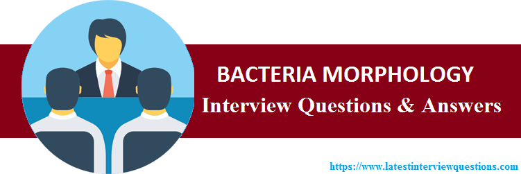Interview Questions on BACTERIA MORPHOLOGY