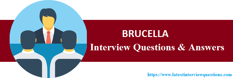Interview Questions on BRUCELLA