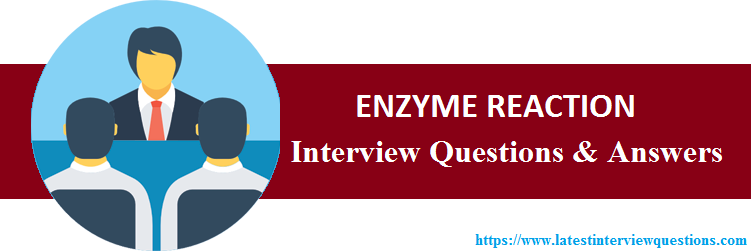 Interview Questions on Enzyme Reaction