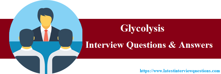 Interview Questions Glycolysis