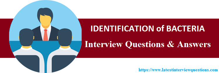 Interview Questions on IDENTIFICATION of BACTERIA