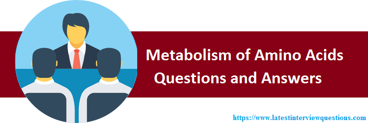 MCQs on Metabolism of Amino Acids