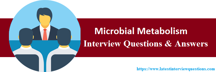 Interview Questions On Microbial Metabolism