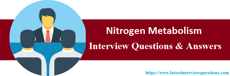 Interview Questions On Nitrogen Metabolism