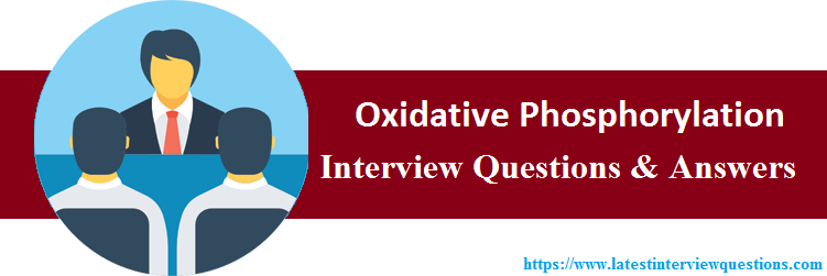 Interview Questions On Oxidative Phosphorylation