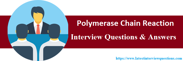 Interview Questions On Polymerase Chain Reaction